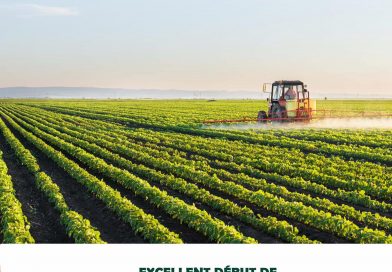 La Guinée : un pays aux innombrables ressources agricoles