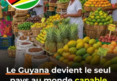 Le Guyana, seul pays autosuffisant en alimentation