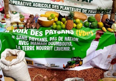 Guinée : Des acteurs agricoles se mobilisent pour l&rsquo;élection présidentielle
