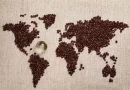 La production du café à l’heure du changement climatique