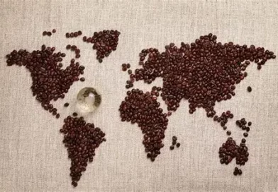 La production du café à l’heure du changement climatique