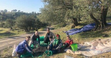 SIPSA-FILAHA 2026 : le secteur oléicole Algérien en pleine expensation