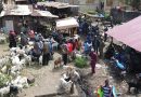 Pourquoi les prix des moutons et bœufs explosent-ils en Guinée, terre d’élevage ?