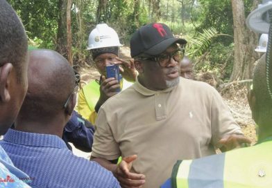 Guinée forestière : le ministre de l&rsquo;élevage exhorte agriculteurs et éleveurs à éviter le conflit d&rsquo;intérêt